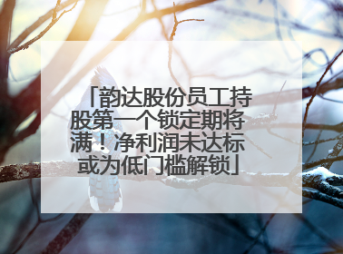 韵达股份员工持股第一个锁定期将满！净利润未达标或为低门槛解锁