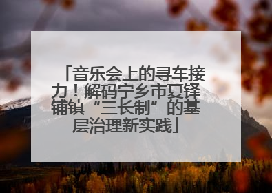 音乐会上的寻车接力！解码宁乡市夏铎铺镇“三长制”的基层治理新实践