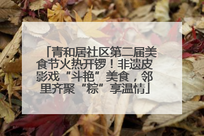青和居社区第二届美食节火热开锣！非遗皮影戏“斗艳”美食，邻里齐聚“粽”享温情