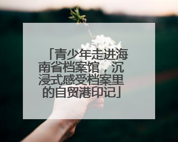 青少年走进海南省档案馆，沉浸式感受档案里的自贸港印记