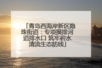 青岛西海岸新区隐珠街道：专项摸排河道排水口 筑牢碧水清流生态防线