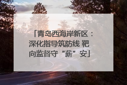 青岛西海岸新区：深化指导筑防线 靶向监督守“薪”安