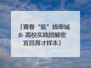青春“医”线牵城乡 高校实践团解密宜昌育才样本