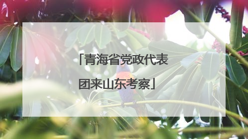 青海省党政代表团来山东考察