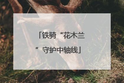 铁骑“花木兰”守护中轴线