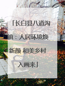 长白县八道沟镇：人居环境焕新颜 和美乡村入画来