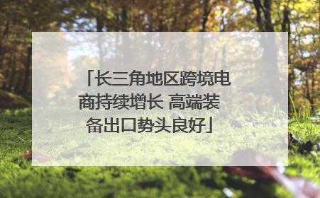 长三角地区跨境电商持续增长 高端装备出口势头良好