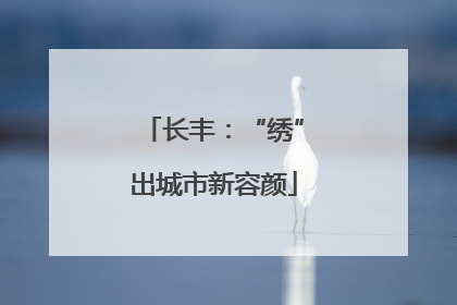 长丰：“绣”出城市新容颜