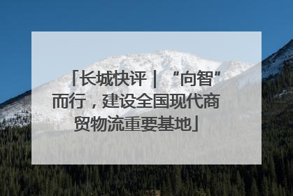 长城快评｜“向智”而行，建设全国现代商贸物流重要基地