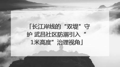长江岸线的“双堤”守护 武昌社区防溺引入“1米高度”治理视角