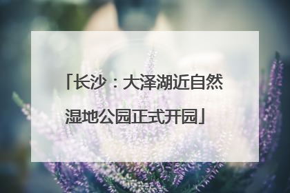 长沙：大泽湖近自然湿地公园正式开园