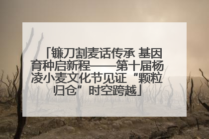 镰刀割麦话传承 基因育种启新程——第十届杨凌小麦文化节见证“颗粒归仓”时空跨越