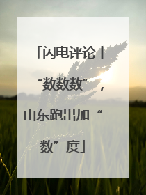 闪电评论丨“数数数”，山东跑出加“数”度