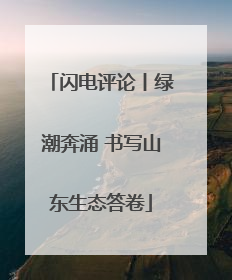 闪电评论丨绿潮奔涌 书写山东生态答卷