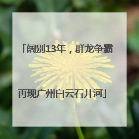 阔别13年，群龙争霸再现广州白云石井河