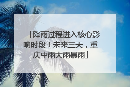 降雨过程进入核心影响时段！未来三天，重庆中雨大雨暴雨