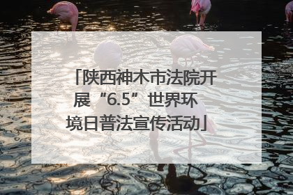 陕西神木市法院开展“6.5”世界环境日普法宣传活动