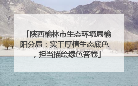 陕西榆林市生态环境局榆阳分局：实干厚植生态底色，担当描绘绿色答卷