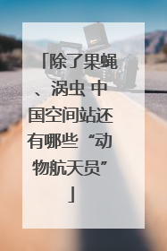 除了果蝇、涡虫 中国空间站还有哪些“动物航天员”