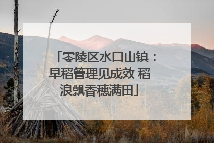 零陵区水口山镇：早稻管理见成效 稻浪飘香穗满田