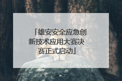 雄安安全应急创新技术应用大赛决赛正式启动