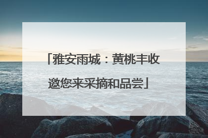 雅安雨城：黄桃丰收 邀您来采摘和品尝