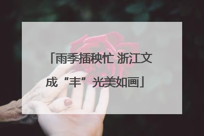 雨季插秧忙 浙江文成“丰”光美如画