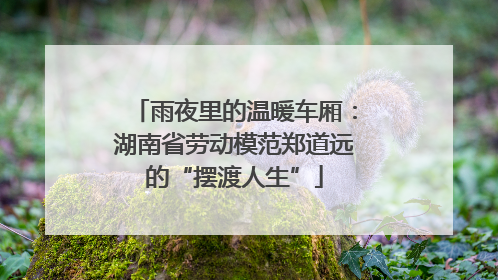 雨夜里的温暖车厢：湖南省劳动模范郑道远的“摆渡人生”