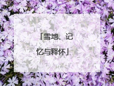 雪地、记忆与释怀