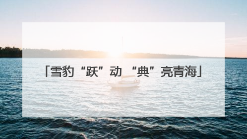 雪豹“跃”动 “典”亮青海