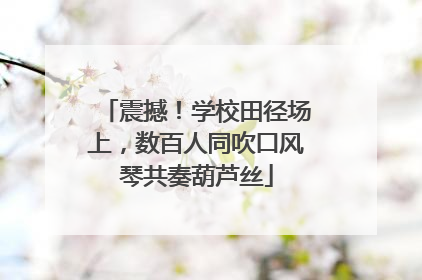 震撼！学校田径场上，数百人同吹口风琴共奏葫芦丝