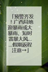 预警齐发！广西局地迎暴雨或大暴雨、短时雷暴大风……假期返程注意→