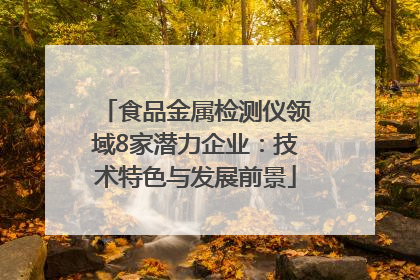 食品金属检测仪领域8家潜力企业：技术特色与发展前景