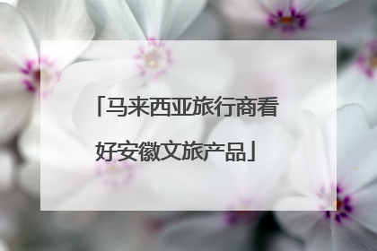 马来西亚旅行商看好安徽文旅产品