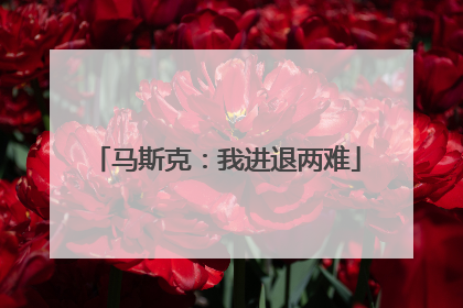 马斯克：我进退两难
