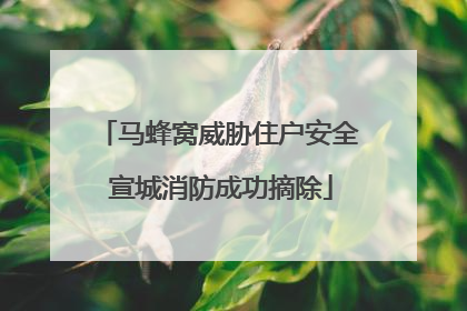 马蜂窝威胁住户安全 宣城消防成功摘除
