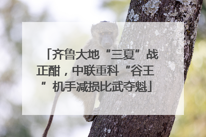 齐鲁大地“三夏”战正酣，中联重科“谷王”机手减损比武夺魁