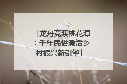 龙舟竞渡桃花潭：千年民俗激活乡村振兴新引擎