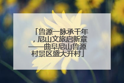鲁源一脉承千年，尼山文旅启新章——曲阜尼山鲁源村景区盛大开村