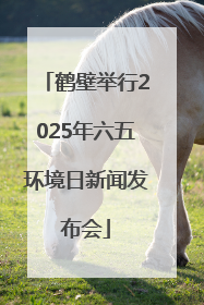 鹤壁举行2025年六五环境日新闻发布会