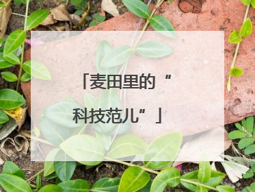 麦田里的“科技范儿”