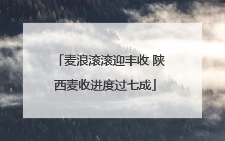 麦浪滚滚迎丰收 陕西麦收进度过七成