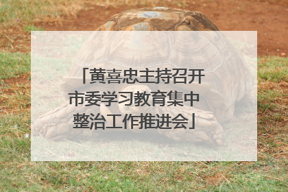 黄喜忠主持召开市委学习教育集中整治工作推进会