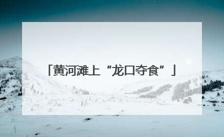 黄河滩上“龙口夺食”