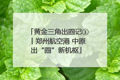 黄金三角出圈记③丨郑州航空港 中原出“圈”新机枢