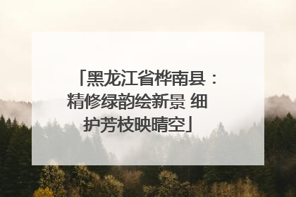 黑龙江省桦南县：精修绿韵绘新景 细护芳枝映晴空