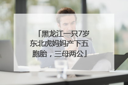 黑龙江一只7岁东北虎妈妈产下五胞胎，三母两公