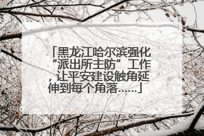 黑龙江哈尔滨强化“派出所主防”工作，让平安建设触角延伸到每个角落……