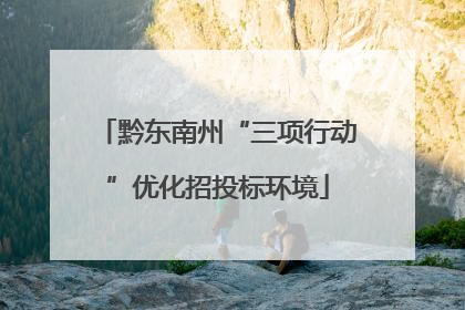 黔东南州“三项行动”优化招投标环境