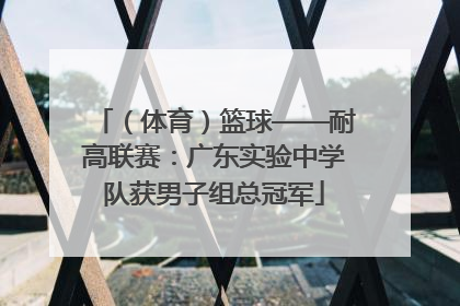 （体育）篮球——耐高联赛：广东实验中学队获男子组总冠军